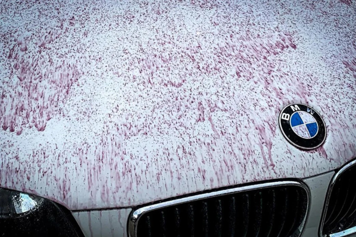 Descontaminação química de carro com iron remover 3D BDX — detailing profissional Portugal e Espanha